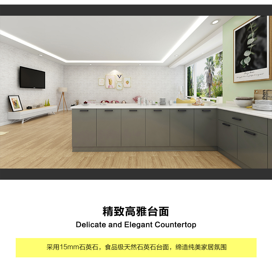 星空梵高定制櫥柜 現(xiàn)代簡(jiǎn)約整體定制櫥柜 石英石臺(tái)面定制櫥柜 雙飾面-顆粒612定制櫥柜